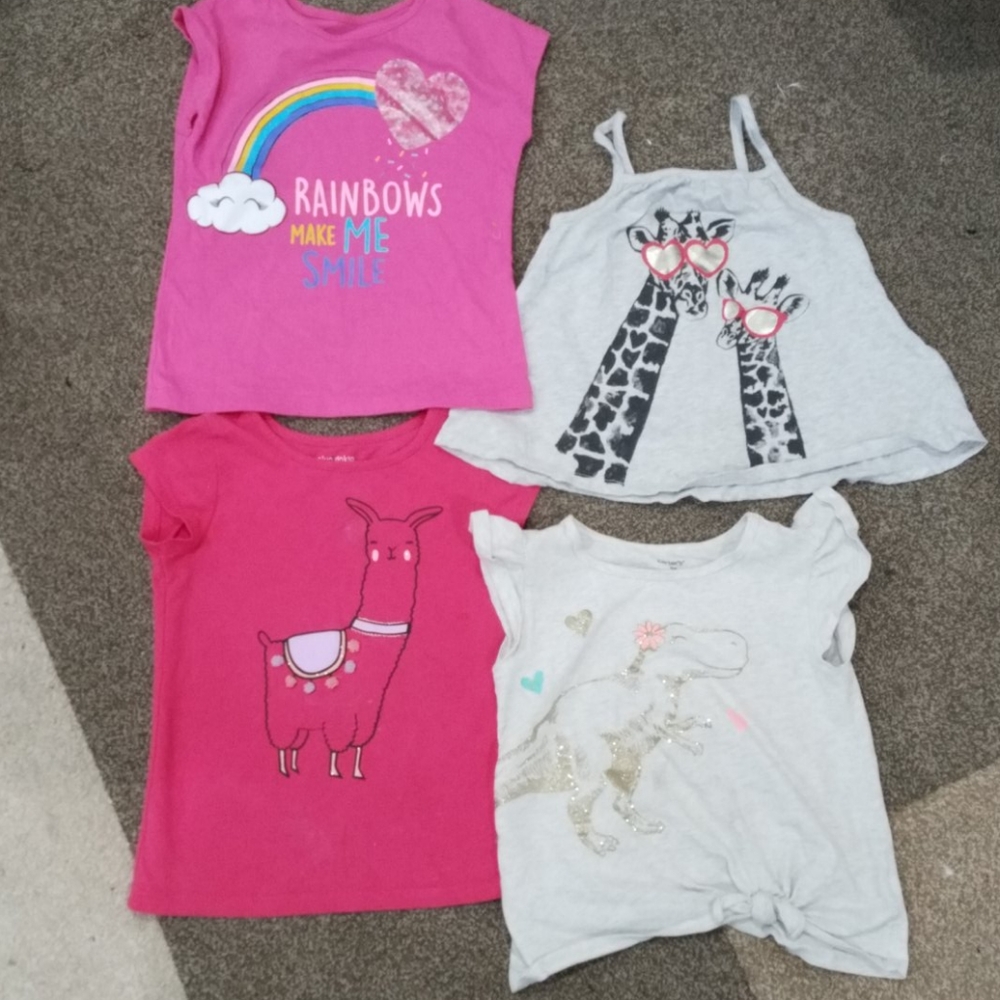 Bundle of summer t's llama , dinosaur, giraffe,
